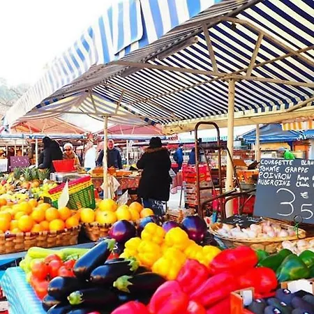 Coeur Du Vieux * 尼斯